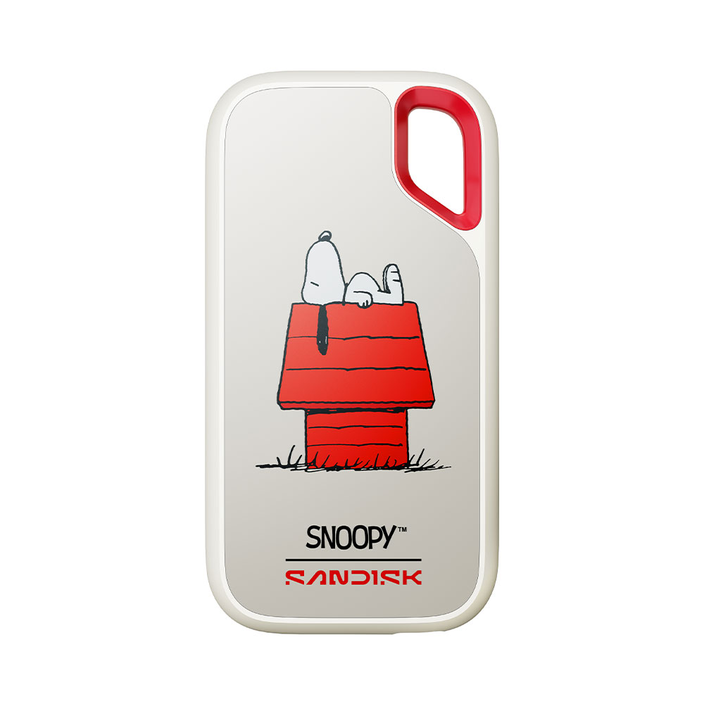 Ổ cứng di động SSD SanDisk Snoopy Portable E61 1TB