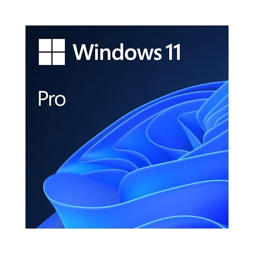 Microsoft Windows 11 Pro 64-bit (Online Download)